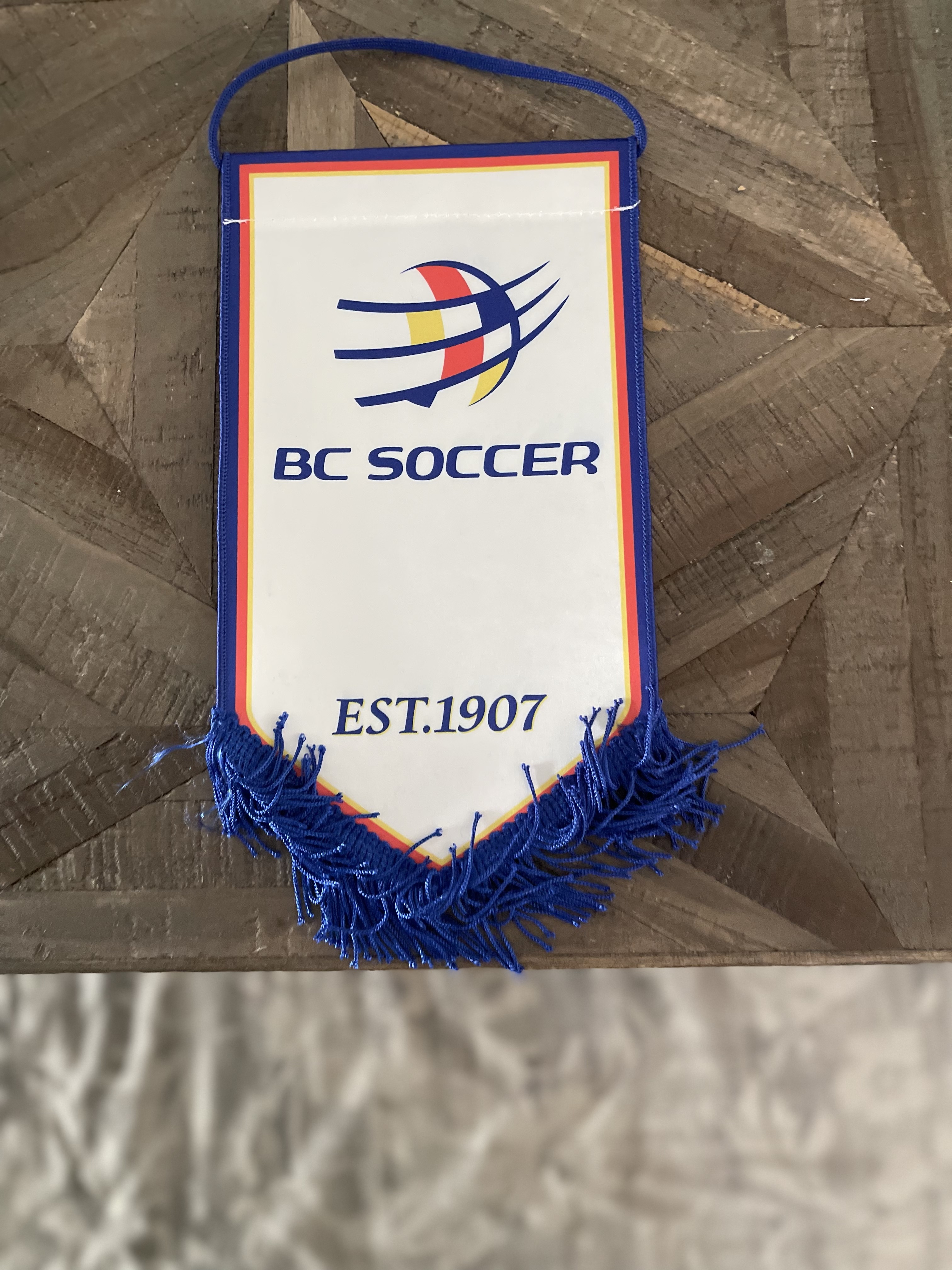 Soccer Friendship Pennants